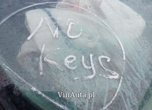 2018 JEEP COMPASS NORTH | 3C4NJDBB5JT493493 zdjęcie 11